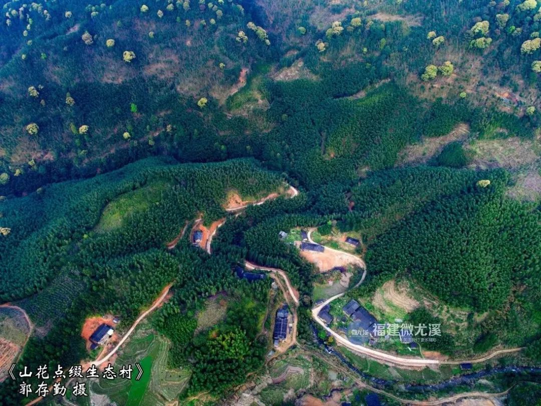 闽中深山里，有谁知道这个尤溪姑娘？真的太美了！