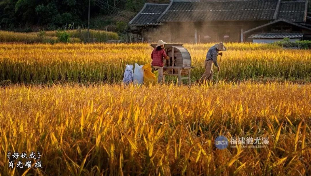 闽中深山里，有谁知道这个尤溪姑娘？真的太美了！