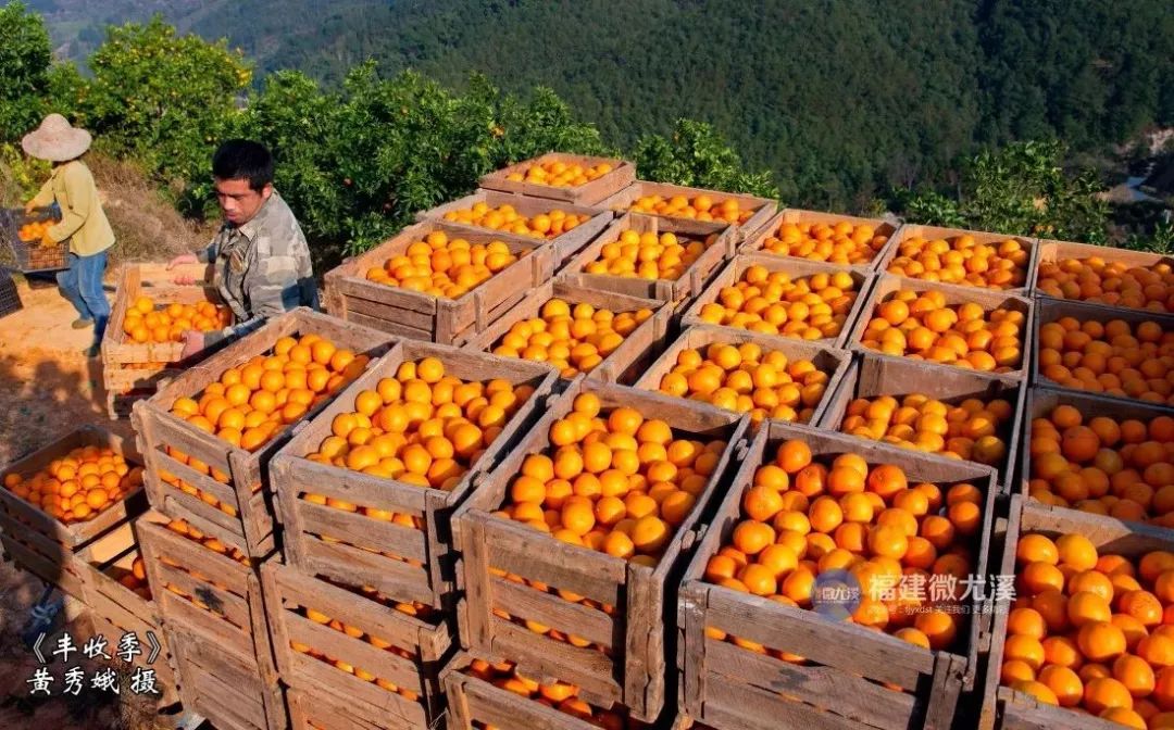 闽中深山里，有谁知道这个尤溪姑娘？真的太美了！