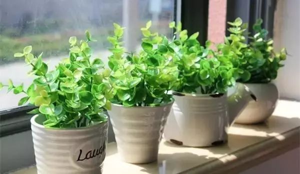 过期药片是个宝千万别扔掉,过期药片变废为宝