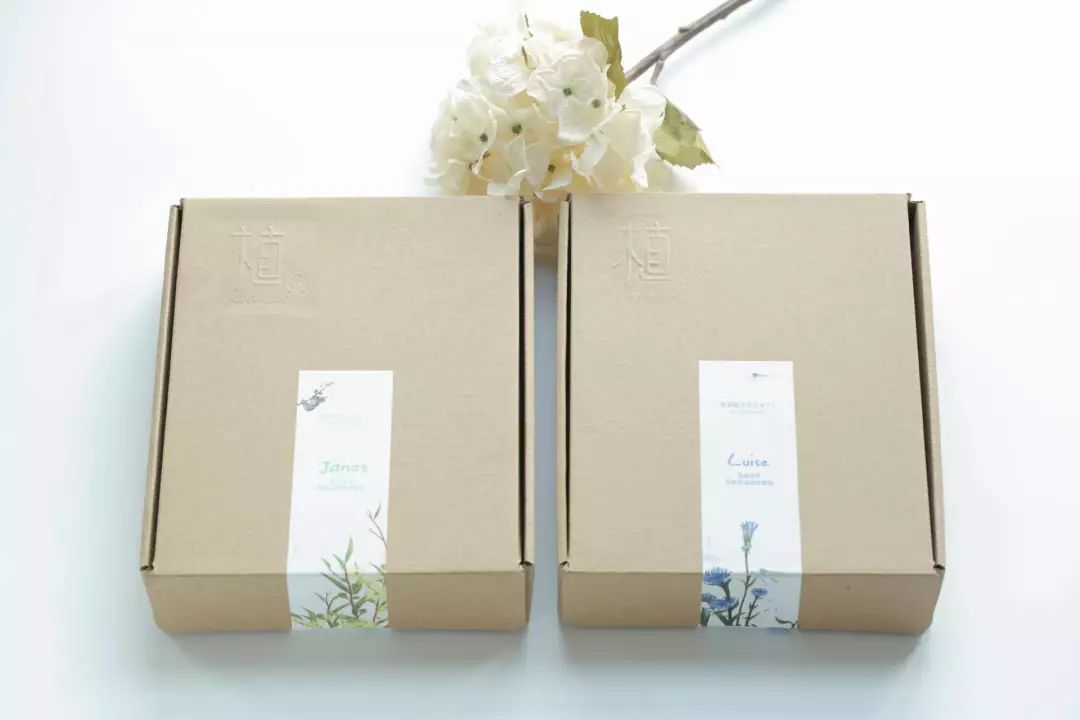 头皮屑多出油用什么牌子的洗发水,头油头皮屑掉发用什么洗发水