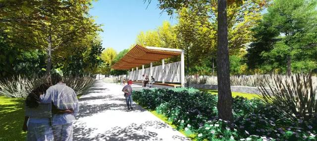 双流区新建设公园,双流规划的公园