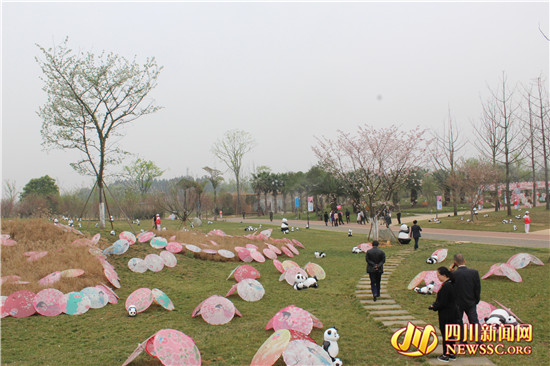 四川眉山樱花博览园,眉山岷江樱花视频