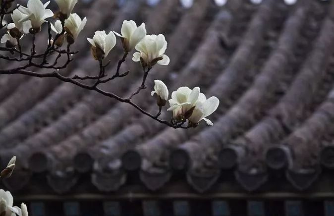 北京游玩一年不重样,一天游北京攻略大全