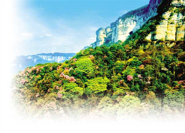 重庆南川山水都市旅游,重庆南川秋季旅游排名