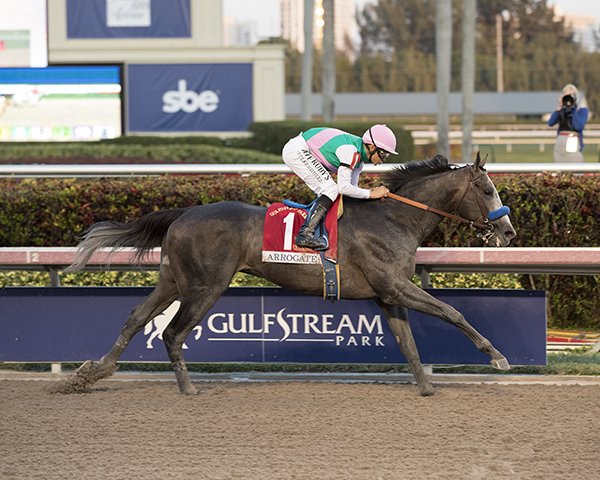 快讯：玉碎之战！“鸠占鹊巢”成为飞马世界杯首位冠军