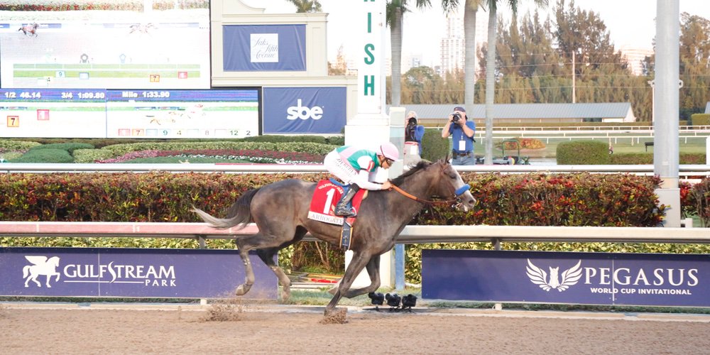 快讯：玉碎之战！“鸠占鹊巢”成为飞马世界杯首位冠军