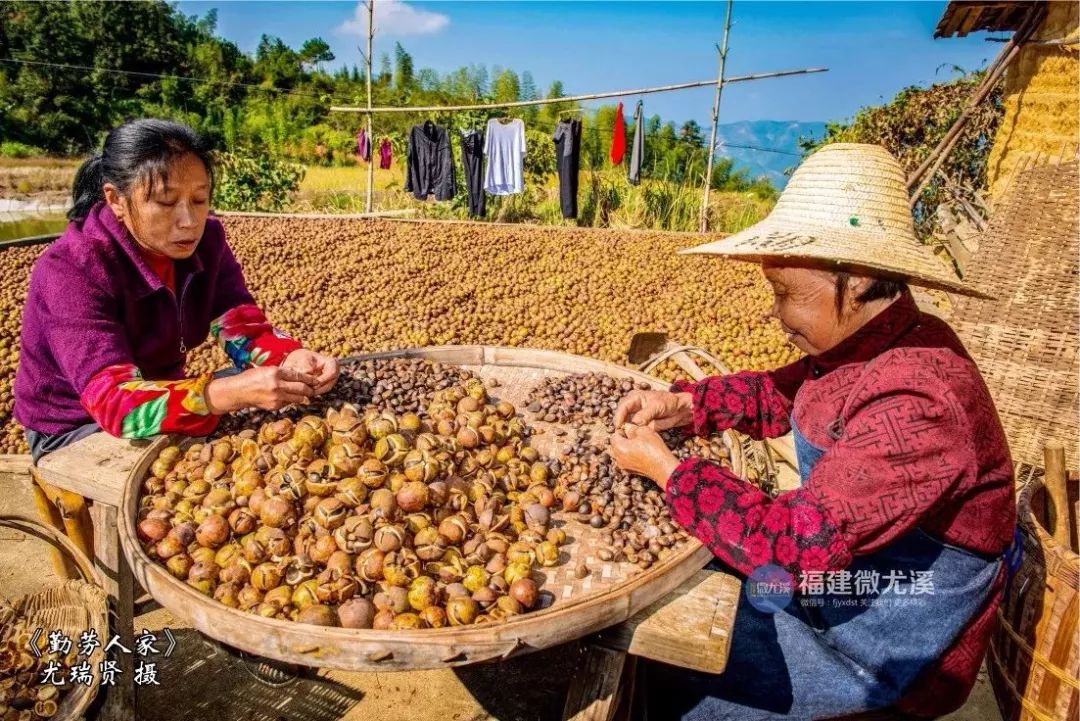 闽中深山里，有谁知道这个尤溪姑娘？真的太美了！