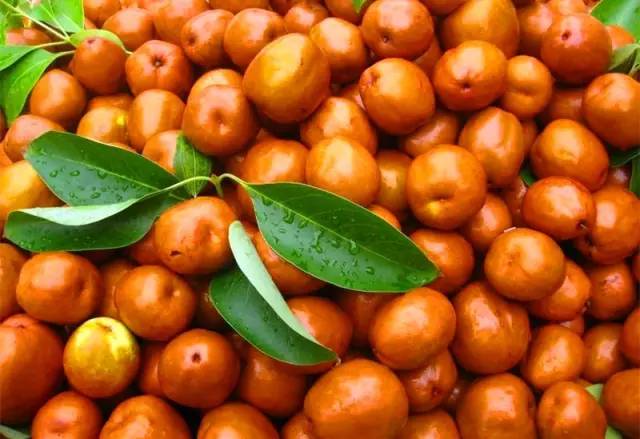 河北特色伴手礼,河北有什么好吃的伴手礼