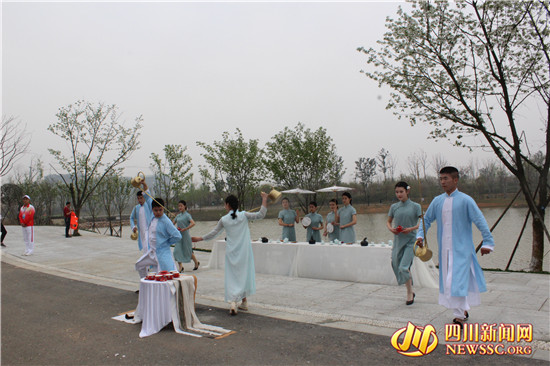 四川眉山樱花博览园,眉山岷江樱花视频