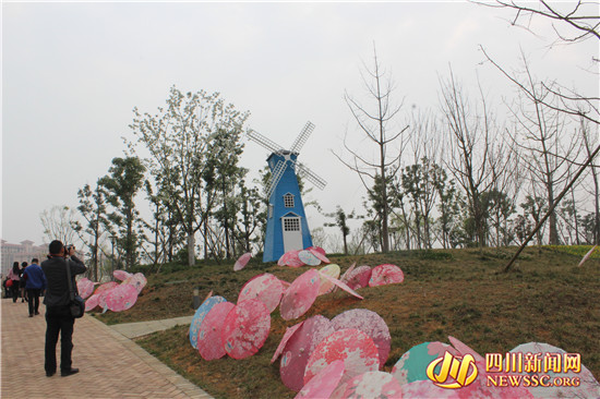 四川眉山樱花博览园,眉山岷江樱花视频