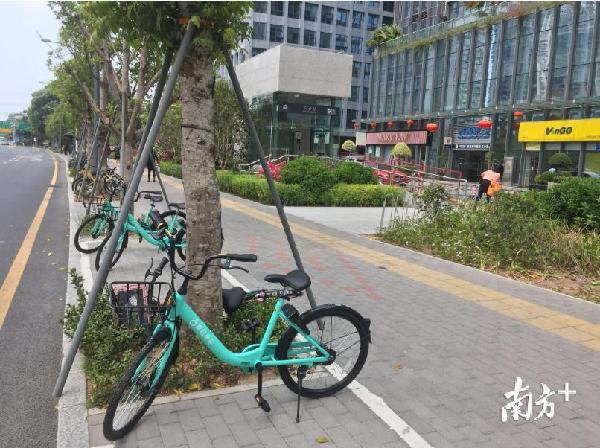 深圳共享单车违法投放,滴滴青桔单车乱收费怎么投诉