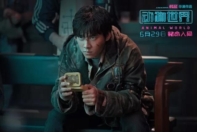 中国电影业怎么样推广中国文化,中国电影报道代言人