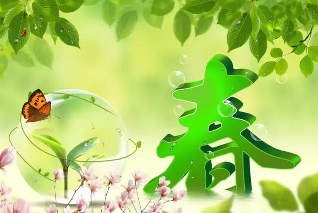 春季养肝茶有哪些,春季养肝试试这几种粥疗法