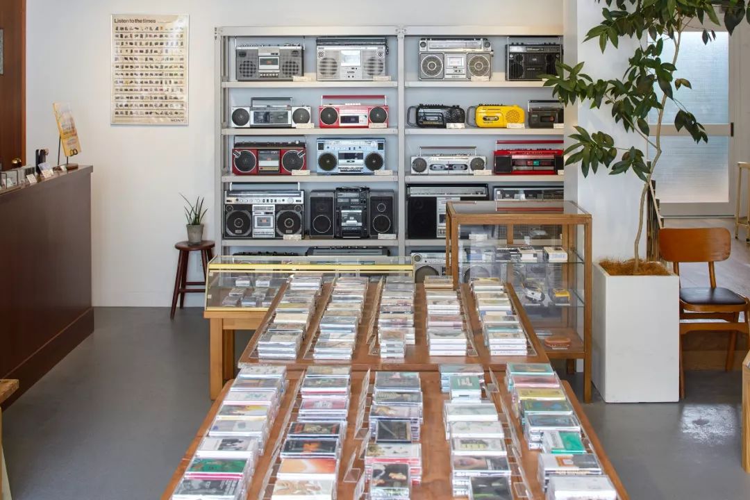 因为去了这些地方，GUCCI做出了“米兰恐怖故事”