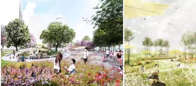 双流区新建设公园,双流规划的公园