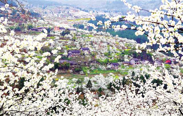 重庆南川山水都市旅游,重庆南川秋季旅游排名