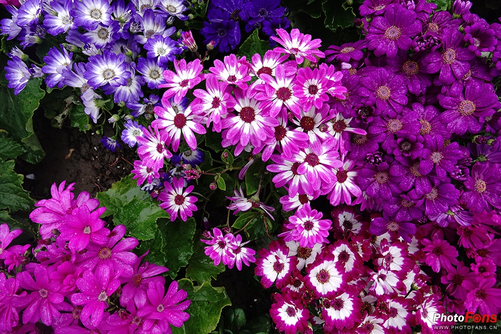 好雨知时节当春乃发生视频素材,索尼rx10iv视频性能