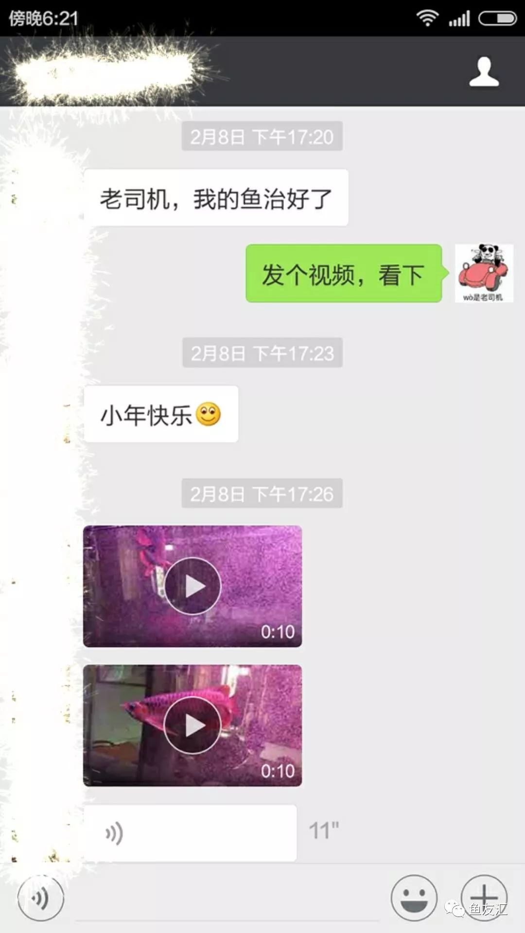 龙鱼为啥是身体弯曲死,龙鱼身体弯曲呈s型怎么回事
