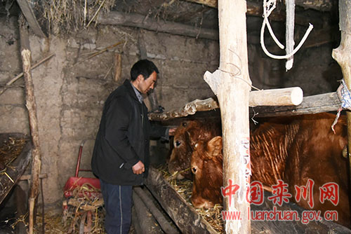 最美的期待铃声,手机铃声最美的期待