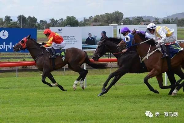 再夺一冠！蒙骏马业赛驹“紫禁城”今日澳洲扬威