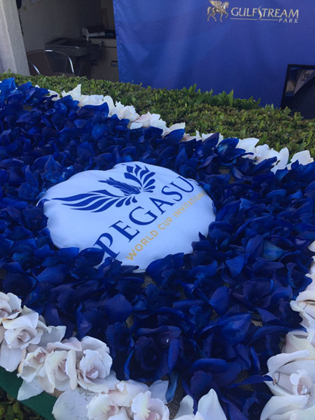 快讯：玉碎之战！“鸠占鹊巢”成为飞马世界杯首位冠军