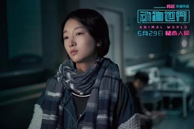 中国电影业怎么样推广中国文化,中国电影报道代言人