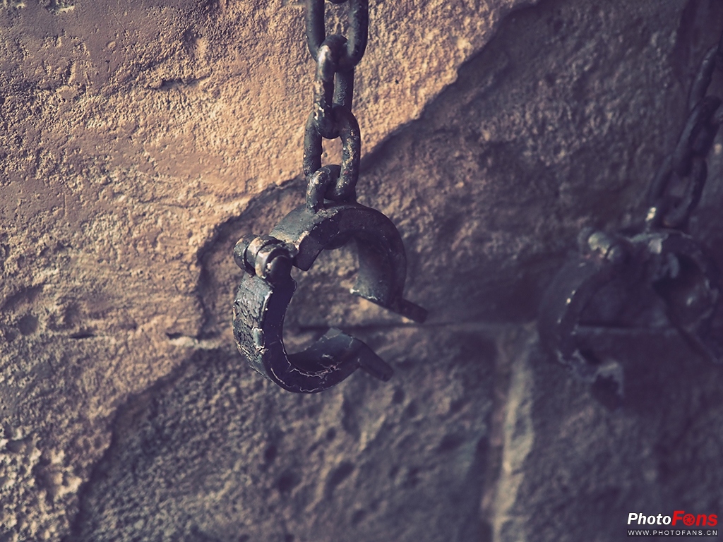 奥林巴斯17mmf1.8能自动对焦吗,奥林巴斯17mmf1.2pro对比老蛙18mm