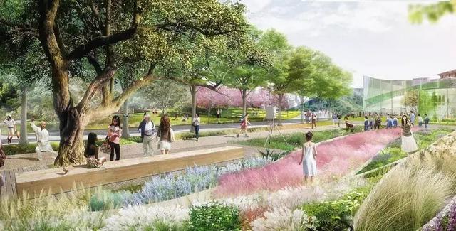 双流区新建设公园,双流规划的公园