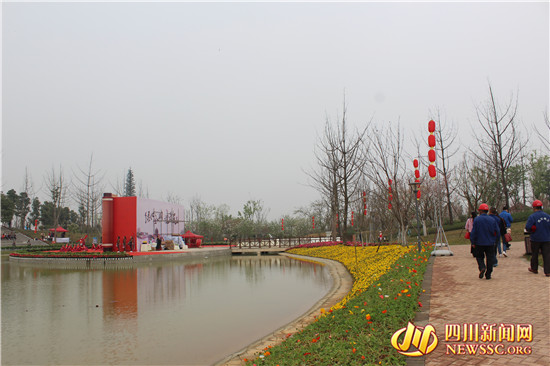 四川眉山樱花博览园,眉山岷江樱花视频