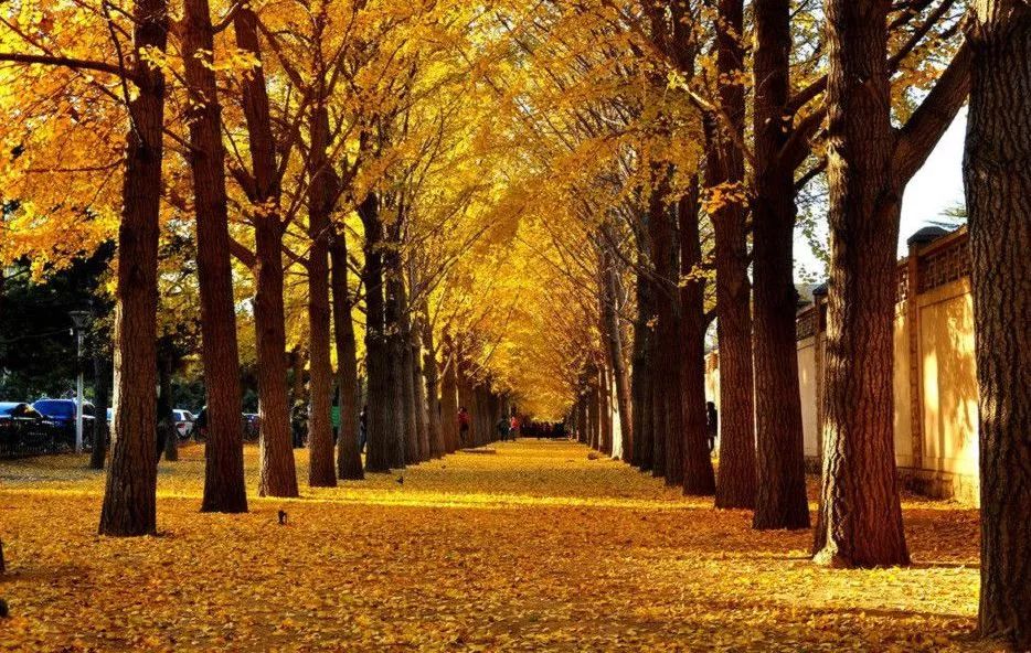 北京游玩一年不重样,一天游北京攻略大全