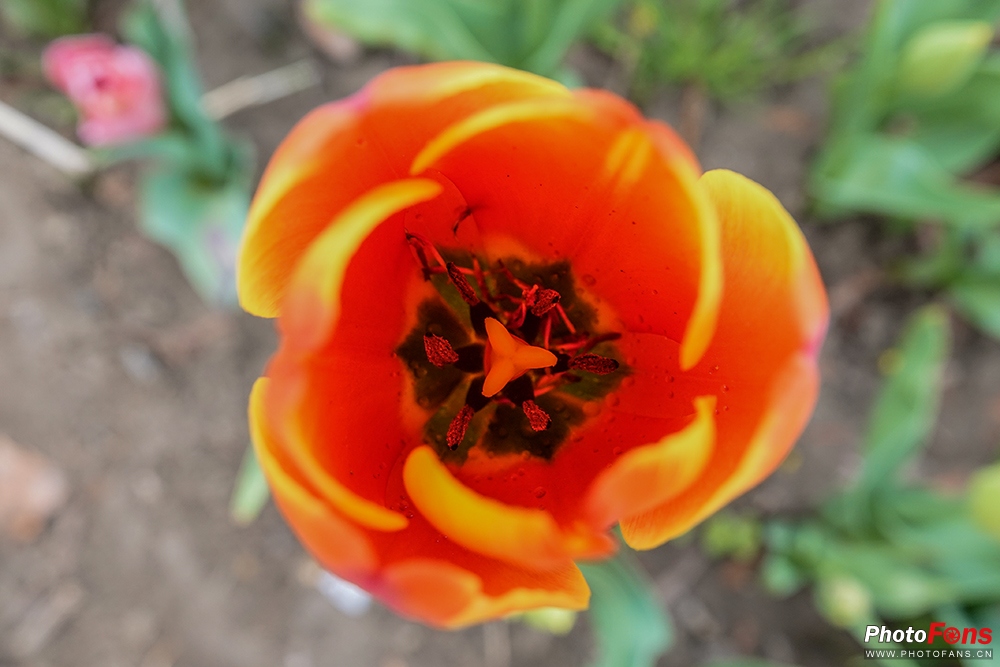 好雨知时节当春乃发生视频素材,索尼rx10iv视频性能
