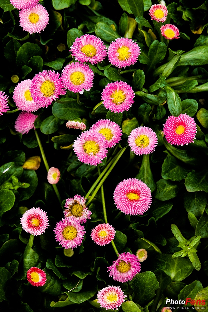 好雨知时节当春乃发生视频素材,索尼rx10iv视频性能