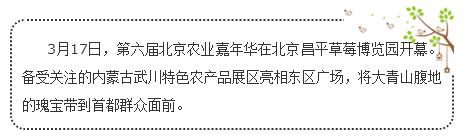 武川县首届农特产品联盟会,武川县绿色农产品
