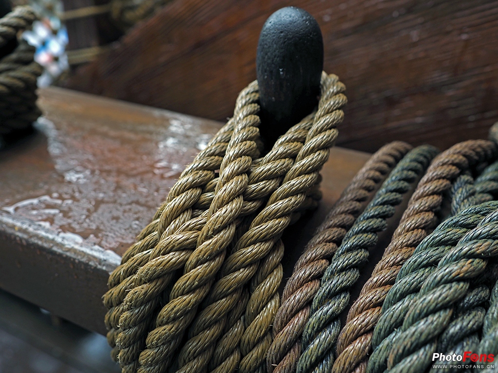 奥林巴斯17mmf1.8能自动对焦吗,奥林巴斯17mmf1.2pro对比老蛙18mm