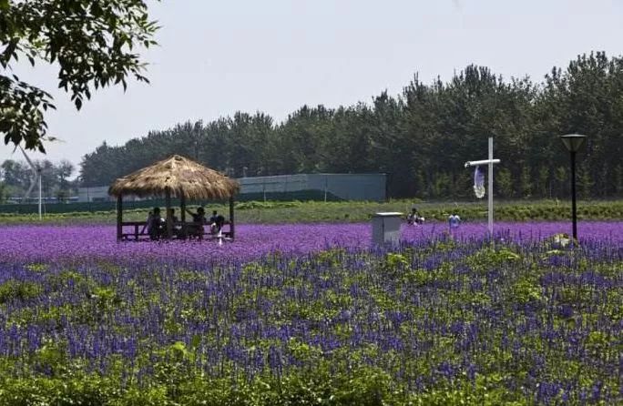 北京游玩一年不重样,一天游北京攻略大全