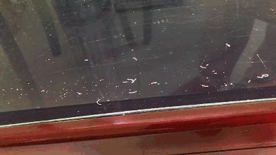 龙鱼为啥是身体弯曲死,龙鱼身体弯曲呈s型怎么回事