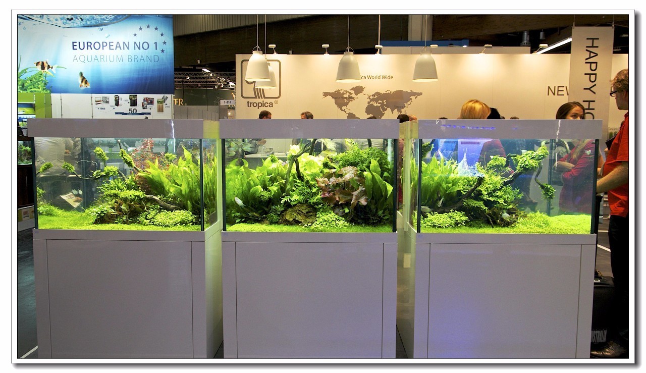 德国纽伦堡宠物展,2018德国纽伦堡宠物展