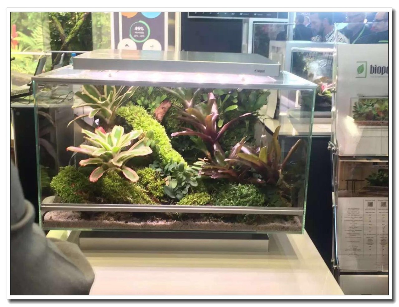 德国纽伦堡宠物展,2018德国纽伦堡宠物展