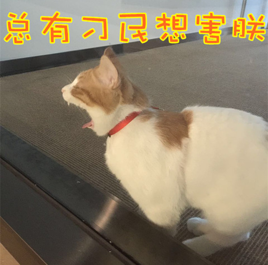 爱抚后我为何燥热难耐浑身发痒?