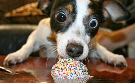 魔兽首映现场欢呼视频,魔兽首映遇蓝屏尴尬