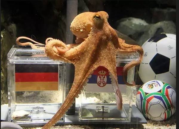 为了庆祝儿童节，珠宝界搬来了整个动物园