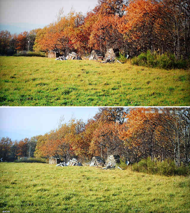 一言不合飙画质!CANTVW55电视深度评测