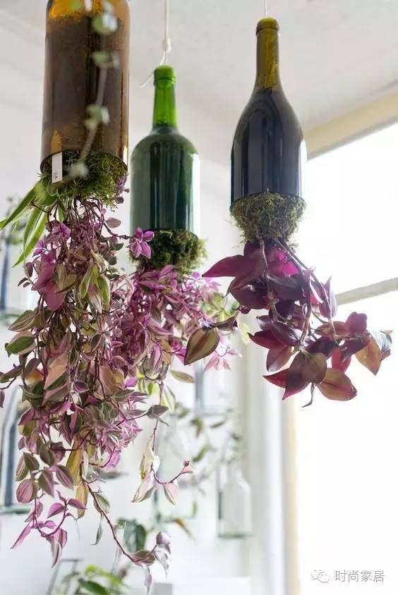 谁说“瓶”淡无奇?瓶子装饰家既美又实用~