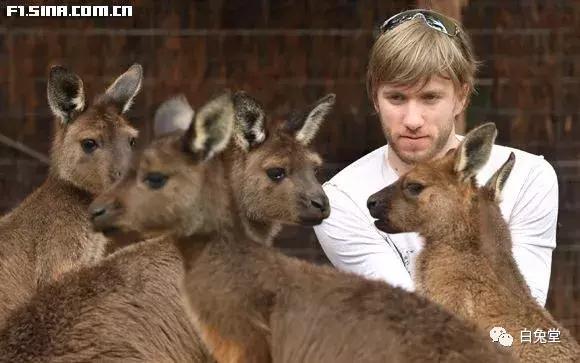 「白兔堂」可能只有不到10%的游客在澳洲玩到了这些!你玩对了吗?