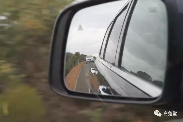 「白兔堂」可能只有不到10%的游客在澳洲玩到了这些!你玩对了吗?