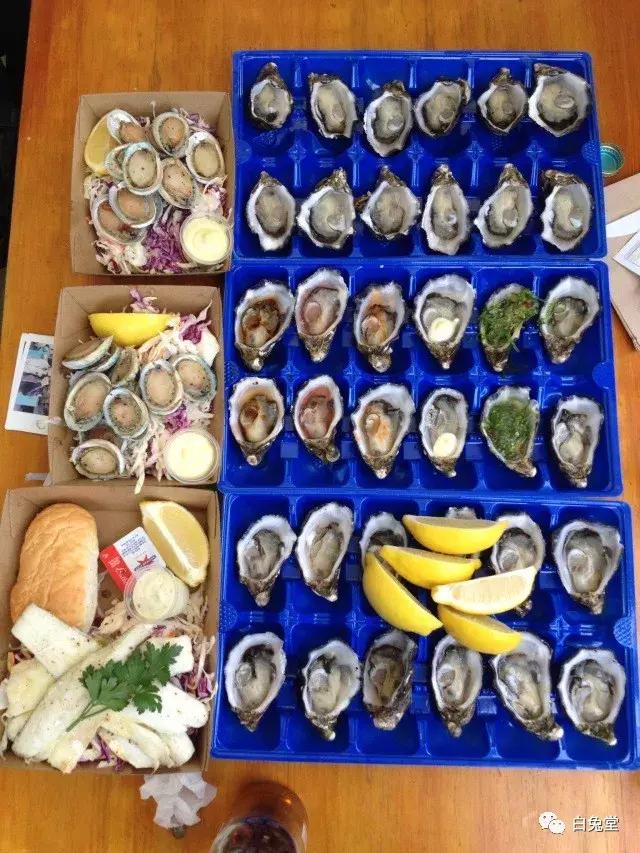 「白兔堂」可能只有不到10%的游客在澳洲玩到了这些!你玩对了吗?