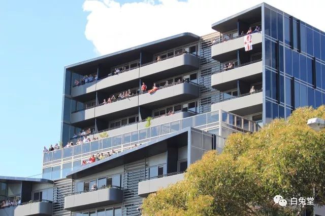 「白兔堂」可能只有不到10%的游客在澳洲玩到了这些!你玩对了吗?