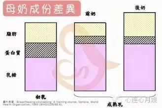 母乳性黄疸停母乳后大便颜色,母乳正常应该是什么颜色