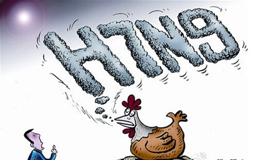 中草药板蓝根能治疗什么病,中草药板蓝根图片大全